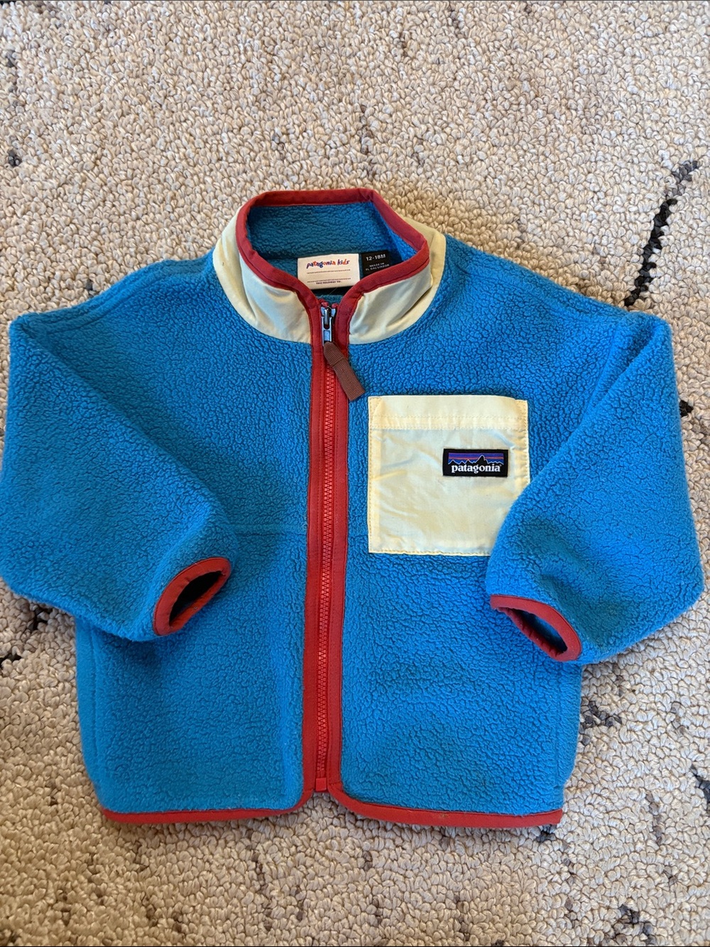 Patagonia Kids Fleece Jacket (12/18m) EUC
